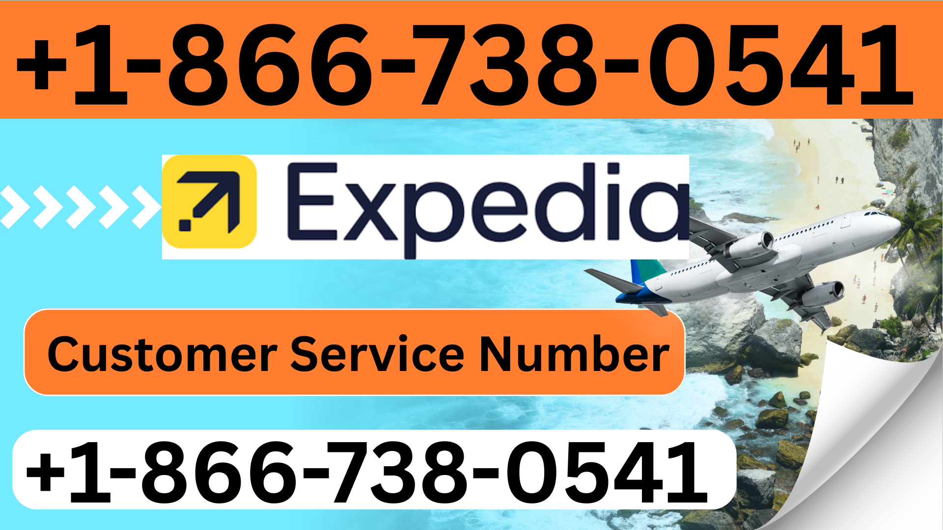 Step by Step 2026 Guide United Airlines Flight Missed Policy Refund Rebooking Rules — Virginia Zoo